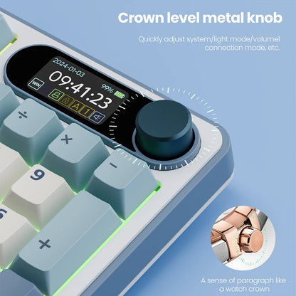 ROYAL KLUDGE S98 Mechanical Keyboard Top Mount TFT Screen 98 Keys RGB BT5.0/2.4G/USB-C Wireless Gamer Keyboard Hot Swappable